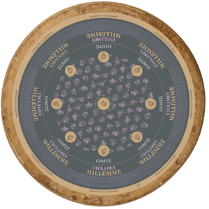 Image Comté AOP M.Petite Millésime 35kg