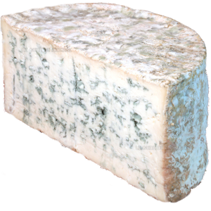 Image ( Bleu de chèvre des Pictons 1,25kg )