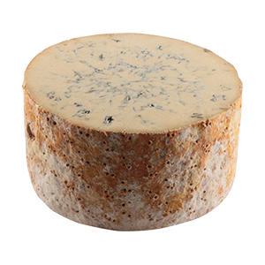 Image Stilton Colston Bassett (vegetal) 8kg