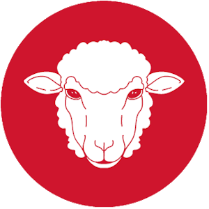 Image Sheep