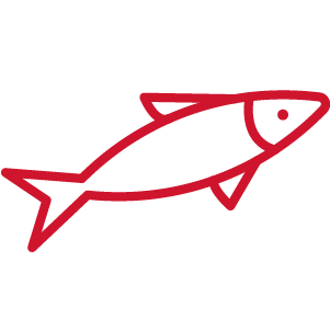 Image Sea products