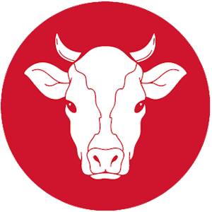Image Cow
